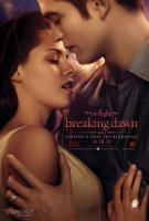 Breaking Dawn - Bis(s) zum Ende der Nacht: Teil 1